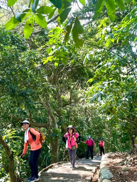 虎山岩區4條大嶺巷步道十二分埔山O繞逍遙輕鬆行3064048