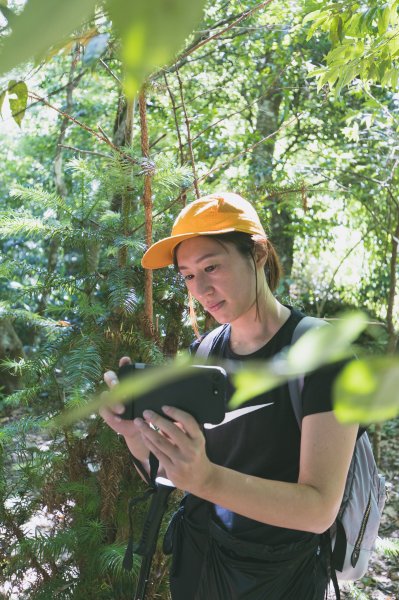 【秀巒-芝生毛台山】砲台遺址1030515