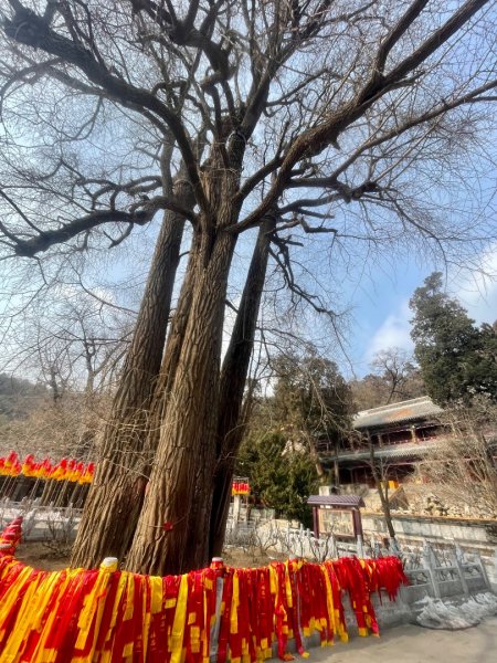 ㄧ路向北尋雪2994220