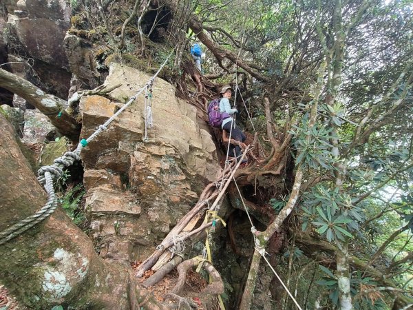 1130511夫拉縱走2500144