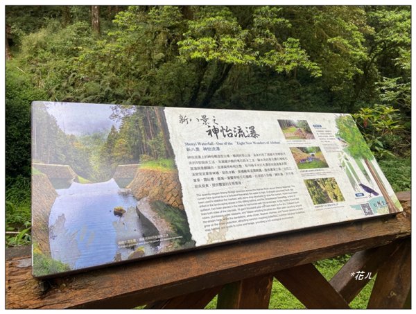 阿里山神木群棧道2771624