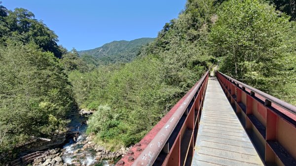 大霸群峰登山步道(大鹿林道線)2911399
