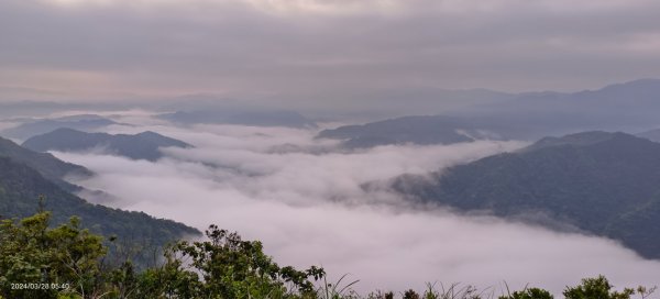 凌晨陽明山槓龜轉往翡翠水庫賞日出雲海，下午再度陽明山趴趴走3/28 #鐘萼木2465817