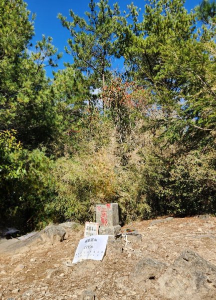 【中級山縱走】羅馬縱走，走進神木的夢幻童話森林世界2943717