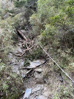 20250524 畢祿山單攻2796491