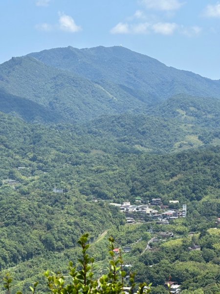孝子山、普陀山、慈母峰賞鹿子野百合O走2592936