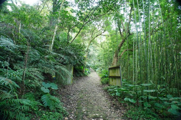 桃園 大溪 新溪洲山、溪洲山、林嵩壽山、內湳溝山、頭寮山3006195