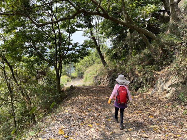 暗影山 西北稜上 南稜下 接仙女瀑布1317872