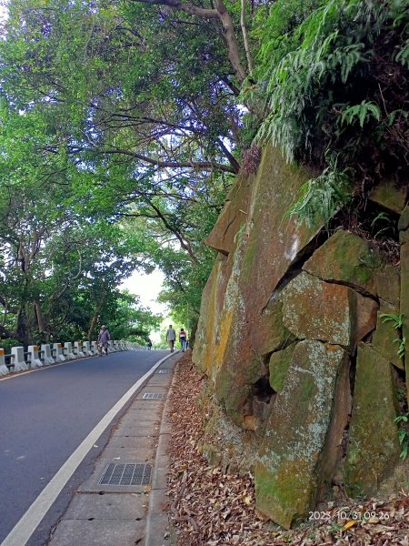 半嶺步道、松溪瀑布、橫嶺古道、湖山綠地【發現陽明山、走路趣尋寶】2332849