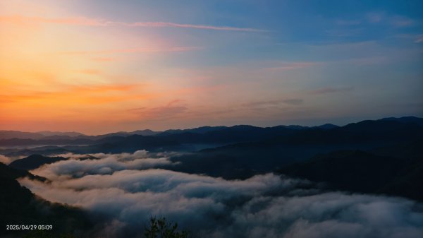 翡翠水庫壩頂 #火燒雲雲海 #日出雲海 #鱷魚島 #藍腹鷴 4/292772679