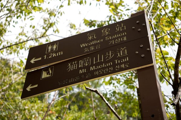 貓囒山小百岳2884981