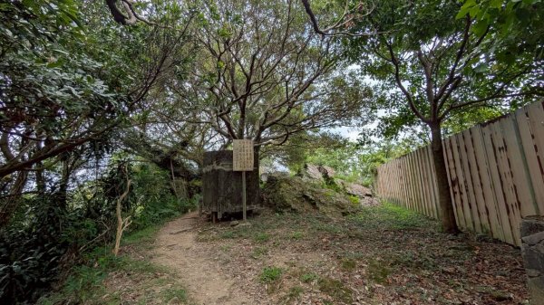 114.09.14青龍嶺-秋壇山-鎮遠山-大青坑崙-三角埔頂山之旅(二)2884574