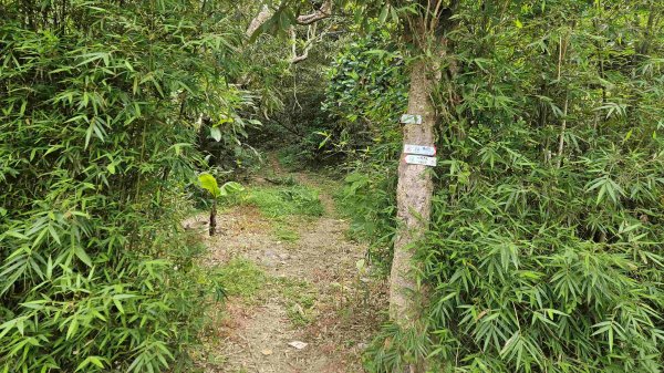 2025050151梗枋山-橋板湖山2774837