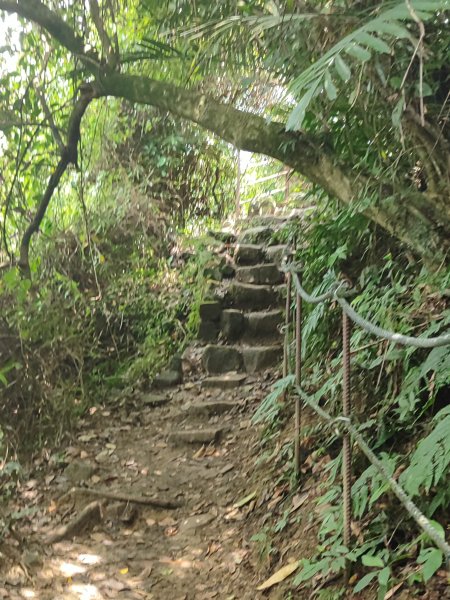 臺北大縱走第六段：中華科技大學至捷運麟光站2790257