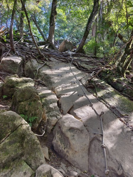 加里山（大坪登山口O繞）112/11/282362979