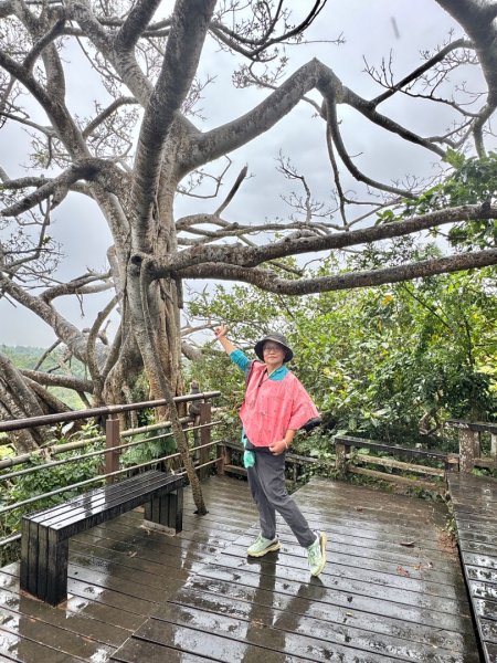 北壽山走壽山(小百岳#77) 龍泉寺起登出千光宮2934461