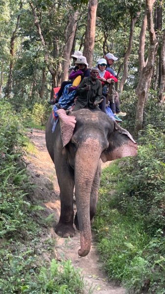 尼泊爾奇旺國家公園4天三夜2788892