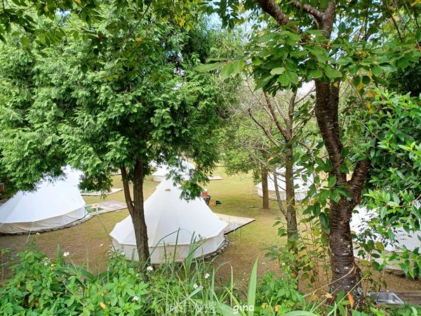 【新竹五峰】迷霧山林。 民都有山登山步道(面托油山)x民都有山北峰2991856