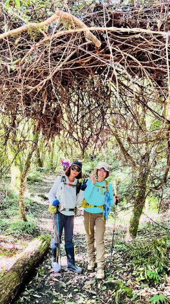 🌈8/16（六）遠的要命的王國~鎮西堡B區神木巡禮✨FB：熊熊趴爬走🌈2861619
