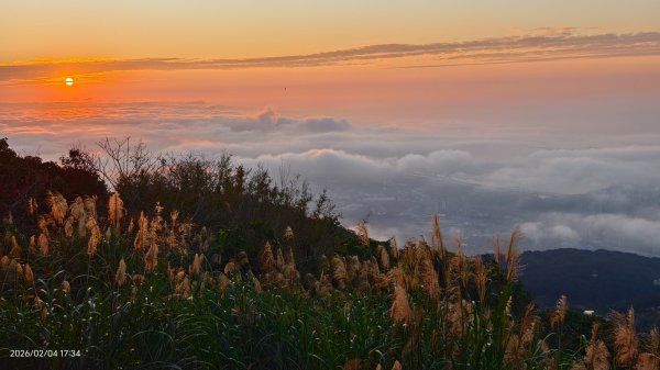 #觀音山 #雲海 #夕陽 #琉璃光 2/42993068