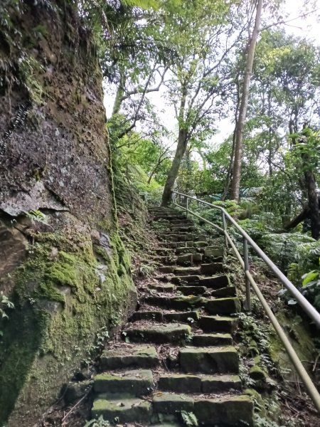 大尖山櫻花-龍船洞-秀峰瀑布2733724