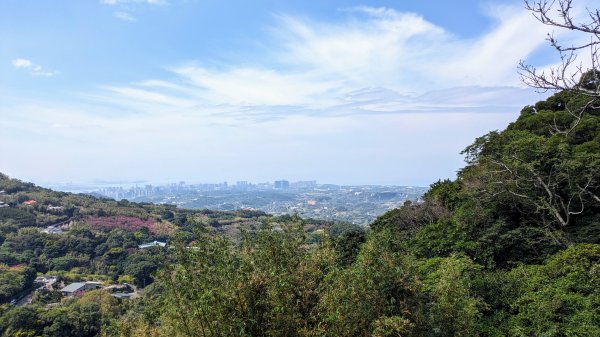 天元宮,楓樹湖,北新庄,淡水老街2430318