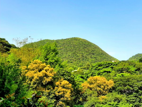 走遍陽明山：人車分道系統｜環七星山人車分道2093236