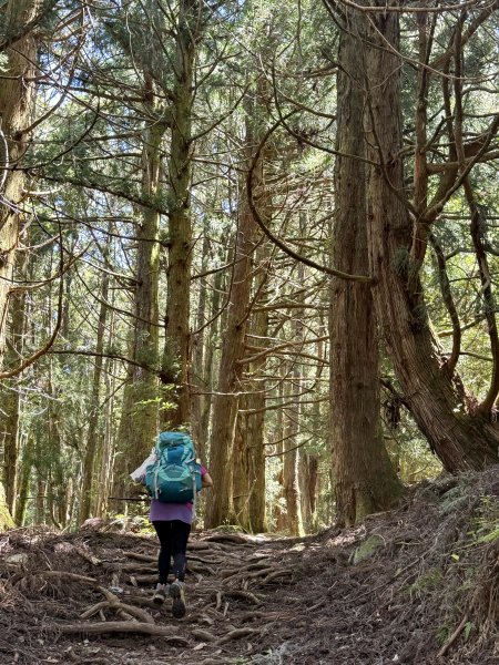 馬崙山 202509062889339