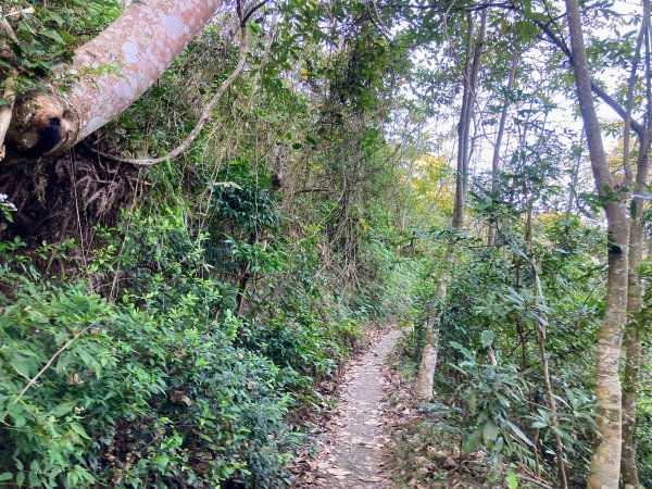 九份二山登山步道2688034