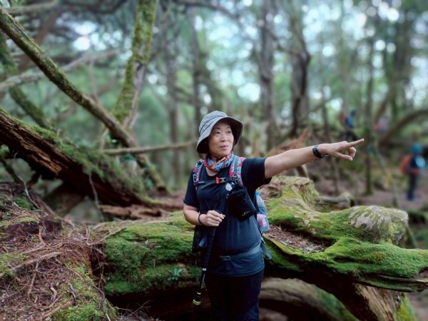 魔幻森林-塔曼山-202508102866571