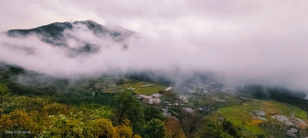 #陽明山 趴趴走12/12950344