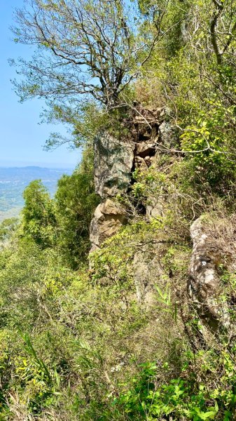 龍麟山登山步道2730766