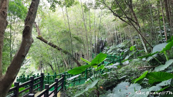 《南投》鳥園瀑布｜鳳凰谷鳥園園區步道&石馬公園202310142315629