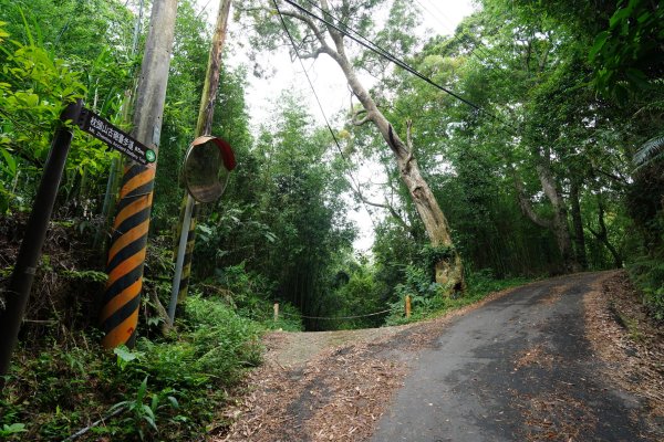桃園 復興 枕頭山、阿姆坪山2794090