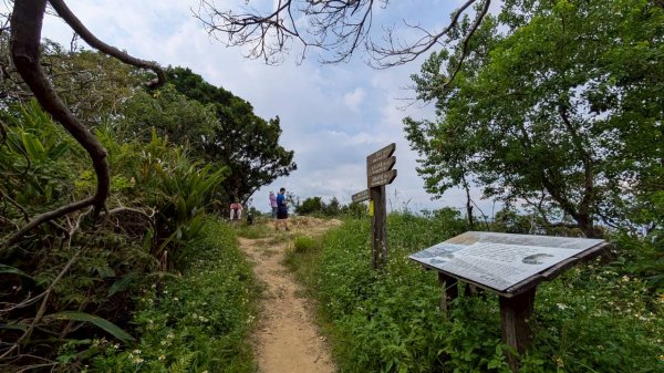114.09.14青龍嶺-秋壇山-鎮遠山-大青坑崙-三角埔頂山之旅(二)2884575