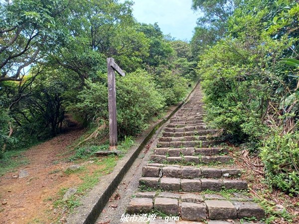 【新北瑞芳】黃金山城好展望。 小百岳基隆山x九份老街2847156