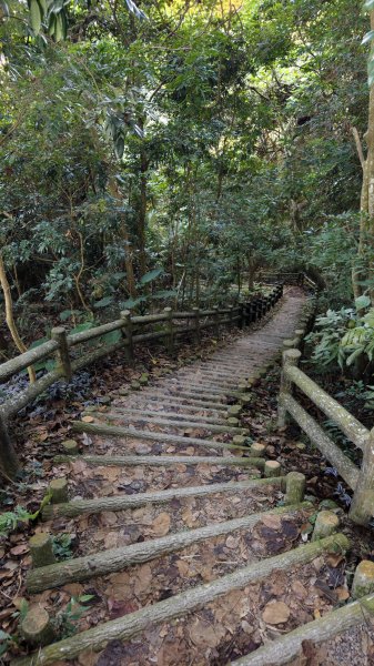 【台灣健行】台中大坑 5-1、5 頭嵙山2879633