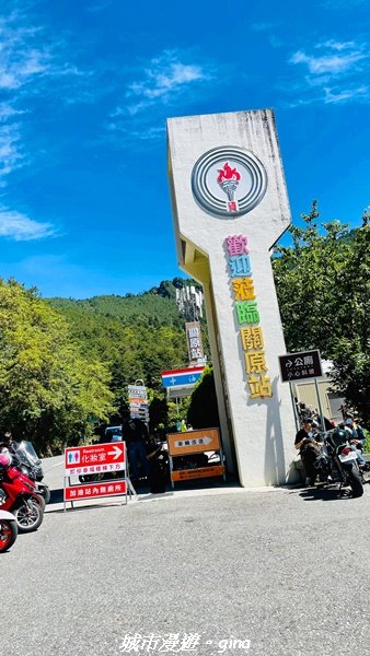 【花蓮秀林】台灣百大必訪步道。 白楊步道2230624