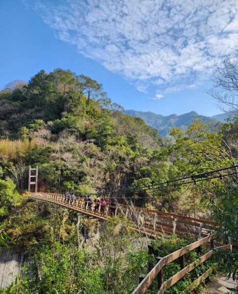 【中級山】芝生毛台山，芝生毛台山西峰，秀巒軍艦岩，屯野生步道，屯野生砲台2745174