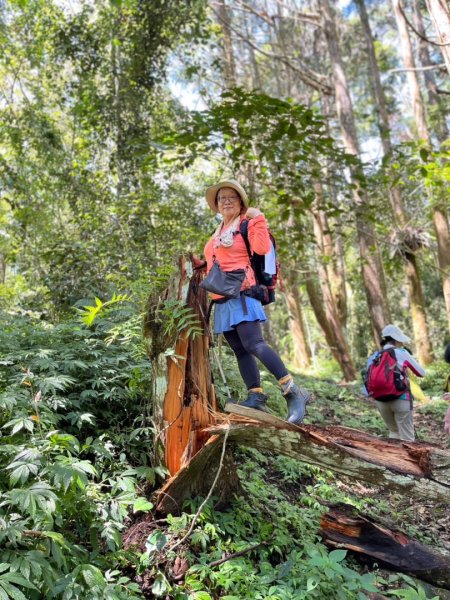 瞭望台-瓊山-望美山-獵人古道2886897
