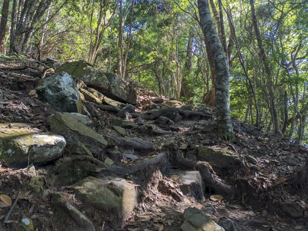 谷關七雄：有點硬陡的波津加山（捎來吊橋進、谷關吊橋出）1861421