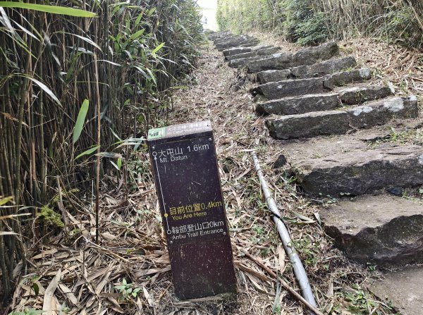 [百山百鳥尋旅-11/15] 2025_0927 大屯主峰-連峰步道_大屯山2899272