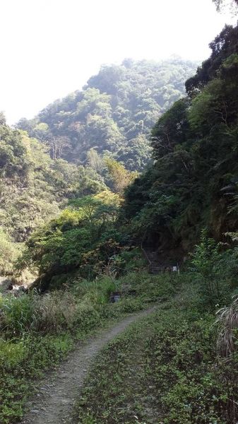 (尚未整理)【嘉義】塘湖古道阿里山鐵路305120