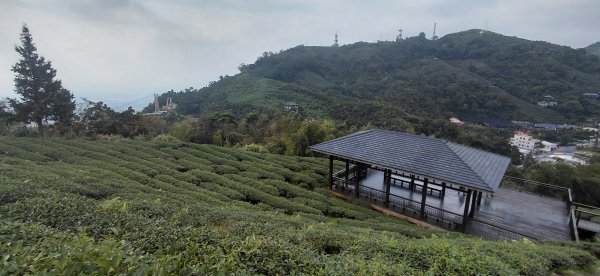 太平雲梯+雲之南道.嘉義梅山3118545