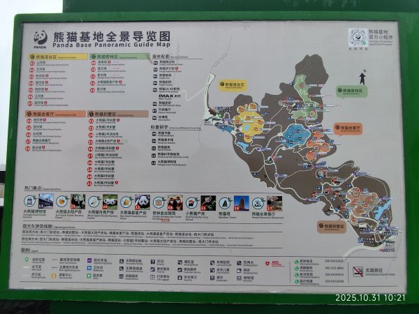 四川成都大熊貓繁育研究基地2940708