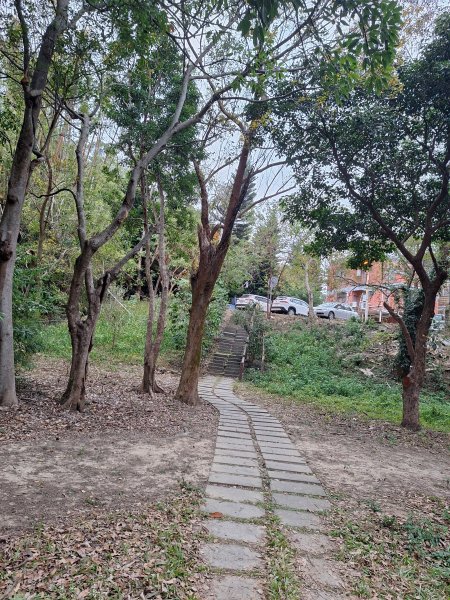 文林古道(鄧雨賢公園起登)202401222696170