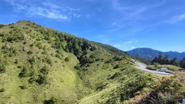 合歡山北峰 小溪營地 鷹角石 合歡北峰名樹