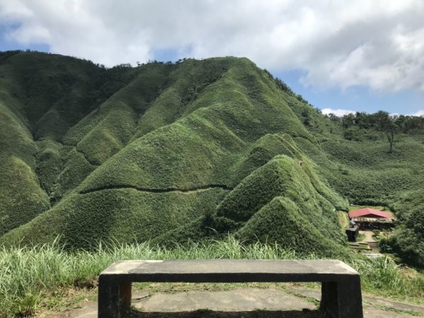 20190615聖母登山步道（抹茶山）611834