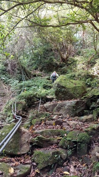 楓樹湖古道登面天北稜上面天山2782258