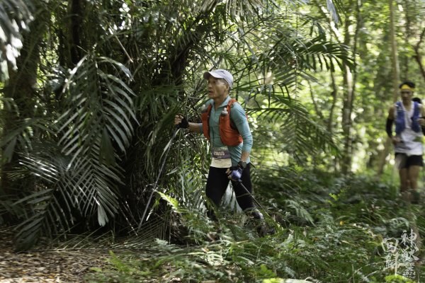 20241228之向天湖山 加里山 哈堪尼山 虎山西南峰 南大龜山 三角湖山2688718